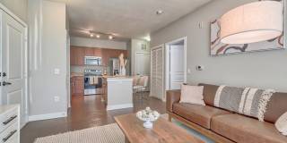 River Oaks Gallery 1