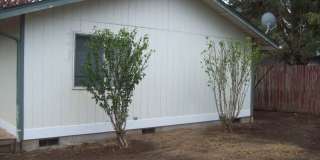 3bed 1bath House Gallery 16