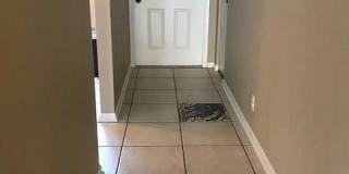 4230 Jack Frost Ct Gallery 1