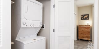 Avalon Dogpatch Gallery 8