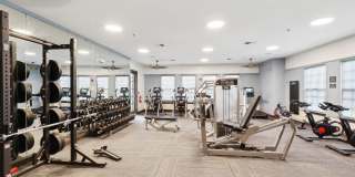 Nav850 at Olde Towne Gallery 15