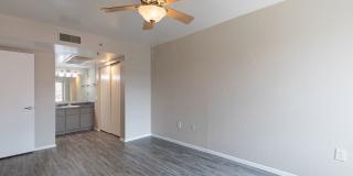 Lion Tempe Gallery 29