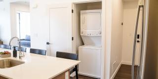 The Olive The Olive Gallery 15