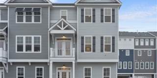 Tern at East Beach Tern at East Beach Gallery 1