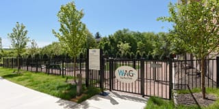 Avalon Hunt Valley and Hunt Valley West Gallery 65