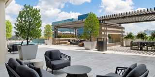 Cortland Museum District Gallery 21