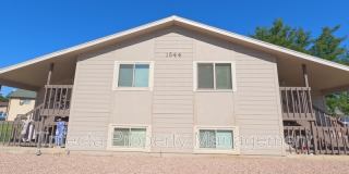 1644 East Pitkin Street, Unit D 1644 East Pitkin Street, Unit D Gallery 1