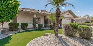 1687 E CAROB Drive Gallery 3