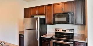 Vyne On Central Gallery 15