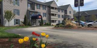 175 Eastern Avenue Gallery 1