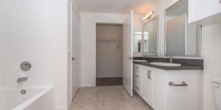 Vineyards Gallery 158