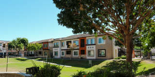 Altair Apartments Gallery 25