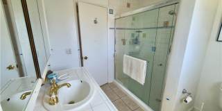 251 Lower Cliff Gallery 12