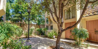 Modern Elegance Meets Calabasas Comfort Gallery 3