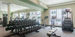 The Hudson Gallery 19