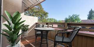 Citrus Place Gallery 27