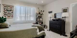 Spacious 3-Bedroom Home with Modern Finishes in North Broomfield Gallery 9