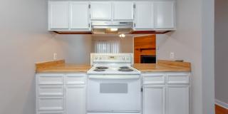 CUTE 2/1.5 w/ New Paint, Washer and Dryer, Close to TCC & FSU! Available NOW for $1050/month! Gallery 10