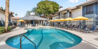 Fountain Palms Gallery 12