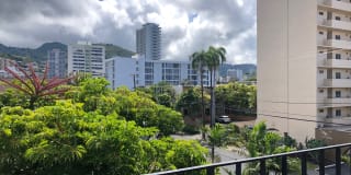 Kewalo Apartments Gallery 14