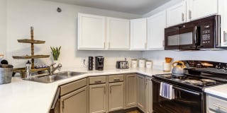 Zen Chaska Zen Chaska Gallery 5