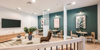 The Village at Lake Lily Gallery 16