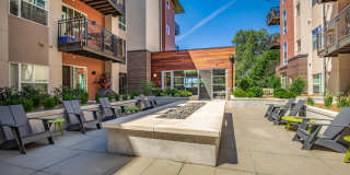Park Place Olde Town Gallery 4