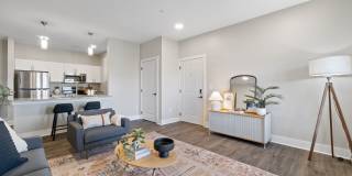 The Rivi Gallery 5