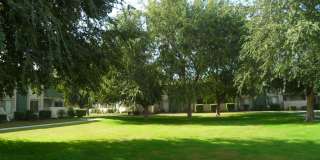 PARKWOOD APARTMENTS Gallery 28