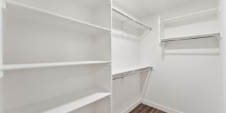 Blue Eastline Gallery 14