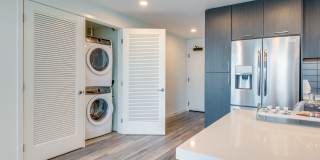 The Merian Gallery 38