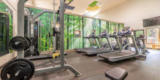 The Seasons Gallery 27