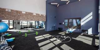 The Upton Gallery 21