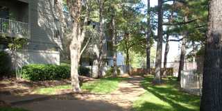 Poplar Pines Gallery 9