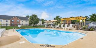 Bear Pointe Gallery 4