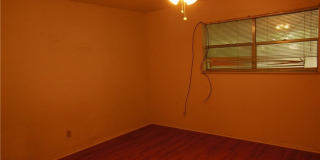 505 Buttercup Gallery 8