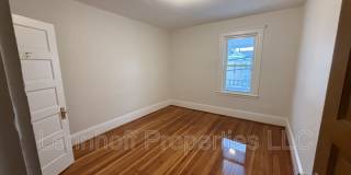 13 Palmer Street - 2 Gallery 5
