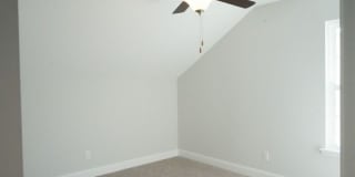25 Sago Palm Way Gallery 40