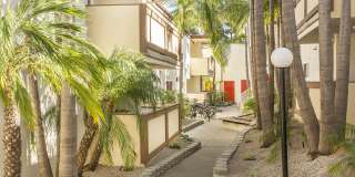 Pacific Sands Gallery 1