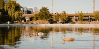 Dexter Lake Union Gallery 45