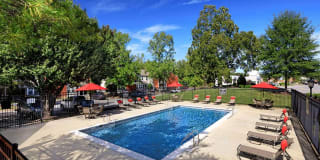 Addison Crater Woods Gallery 2