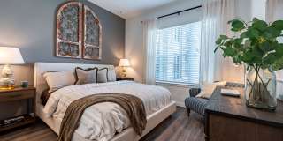 Vera Cedar Park Gallery 9