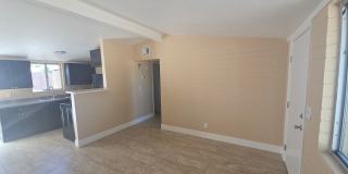 2b1bth condo Gallery 4