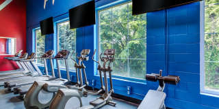 City Walk at Woodbury Gallery 22