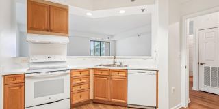 3210 N LEISURE WORLD Boulevard unit: 119 Gallery 15