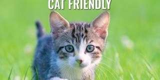 Battery Lane Gallery 19