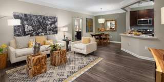 Windsor Johns Creek Gallery 1