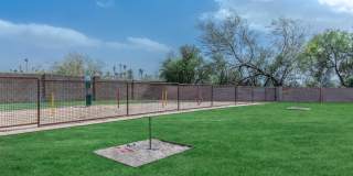 Albany Apartments Gallery 22