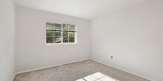 Waters Edge Gallery 53