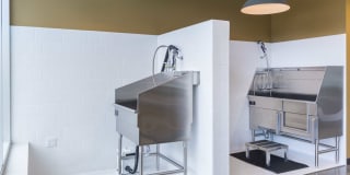 Parc on Powell Gallery 31